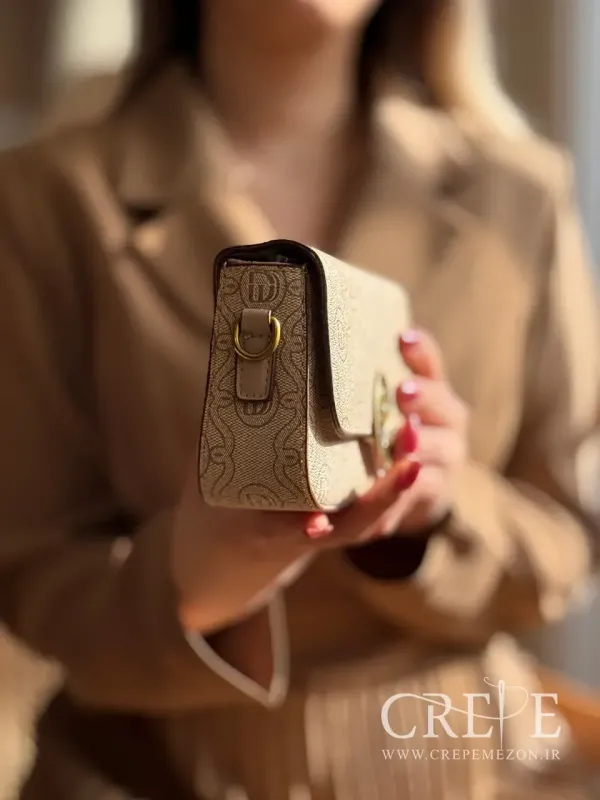 کیف وارداتی سگک قو