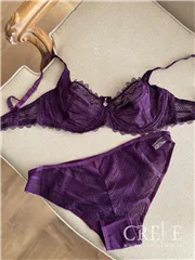 ست توری میسا